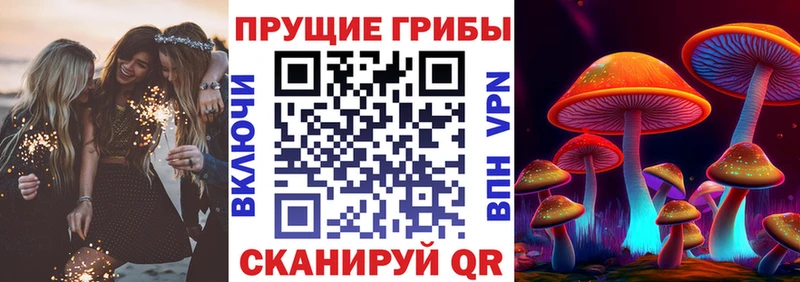 hydra цены Верещагино Псилоцибиновые грибы ЛСД
